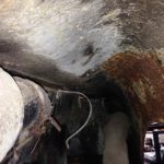 Cforcar Facel Vega Restoration 1 259